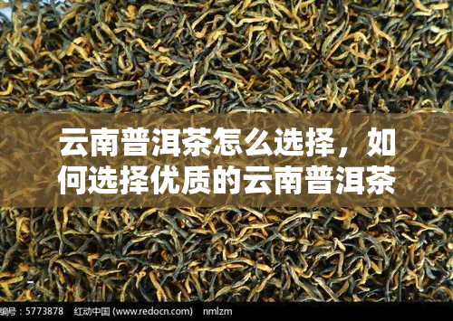 云南普洱茶怎么选择，如何选择优质的云南普洱茶？
