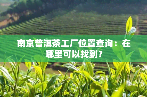 南京普洱茶工厂位置查询：在哪里可以找到？