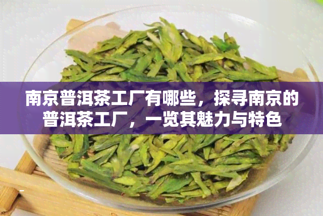 南京普洱茶工厂有哪些，探寻南京的普洱茶工厂，一览其魅力与特色