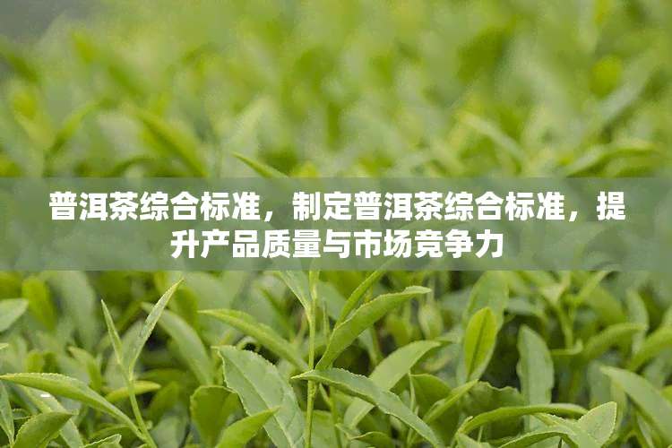普洱茶综合标准，制定普洱茶综合标准，提升产品质量与市场竞争力