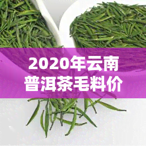 2020年云南普洱茶毛料价钱，2020年云南普洱茶毛料价格行情分析