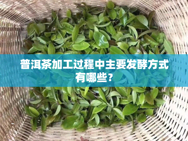 普洱茶加工过程中主要发酵方式有哪些？