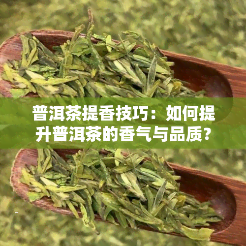 普洱茶提香技巧：如何提升普洱茶的香气与品质？