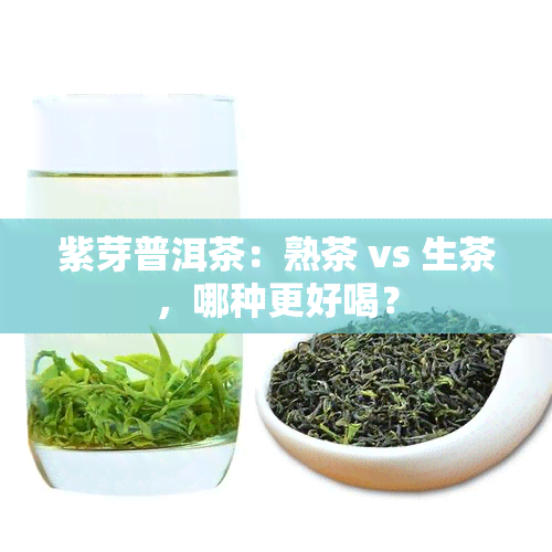 紫芽普洱茶：熟茶 vs 生茶，哪种更好喝？