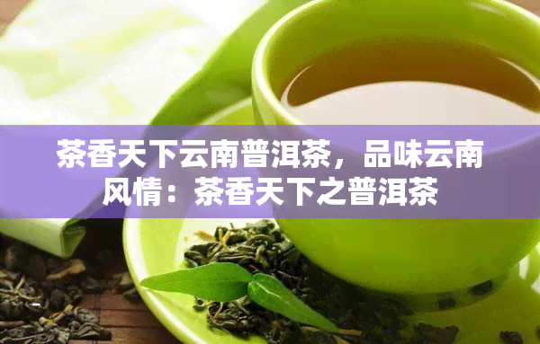 茶香天下云南普洱茶，品味云南风情：茶香天下之普洱茶