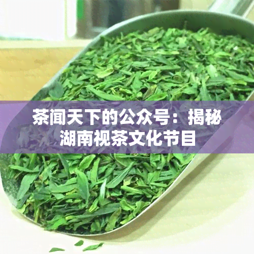茶闻天下的公众号：揭秘湖南视茶文化节目