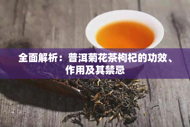全面解析：普洱菊花茶枸杞的功效、作用及其禁忌