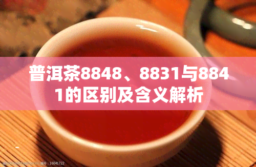 普洱茶8848、8831与8841的区别及含义解析