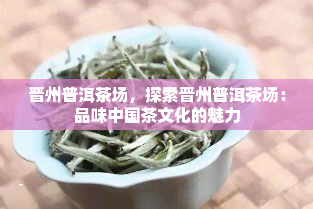 晋州普洱茶场，探索晋州普洱茶场：品味中国茶文化的魅力