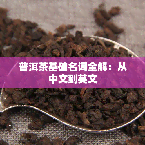 普洱茶基础名词全解：从中文到英文