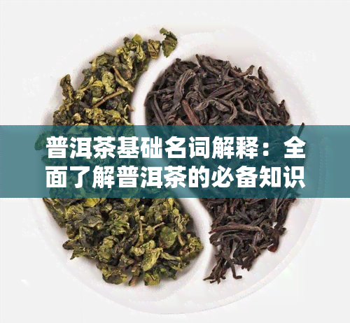 普洱茶基础名词解释：全面了解普洱茶的必备知识