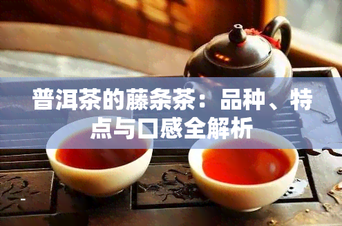 普洱茶的藤条茶：品种、特点与口感全解析