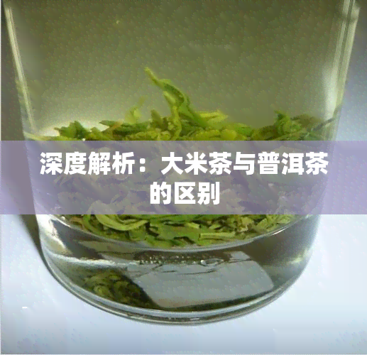 深度解析：大米茶与普洱茶的区别