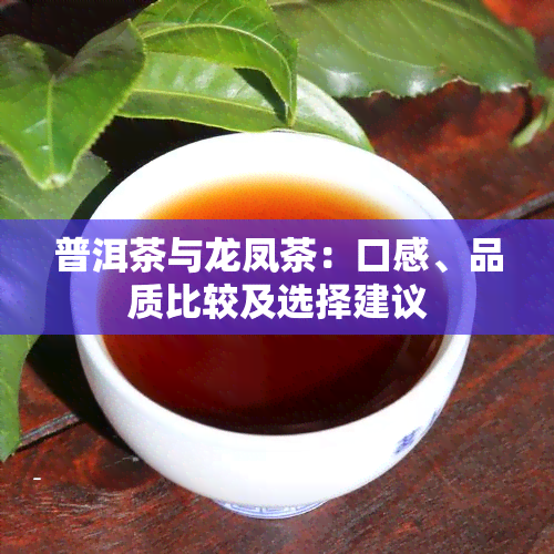 普洱茶与龙凤茶：口感、品质比较及选择建议