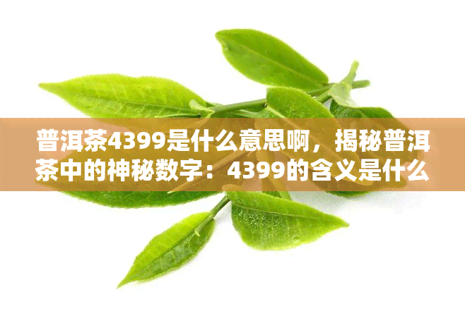 普洱茶4399是什么意思啊，揭秘普洱茶中的神秘数字：4399的含义是什么？