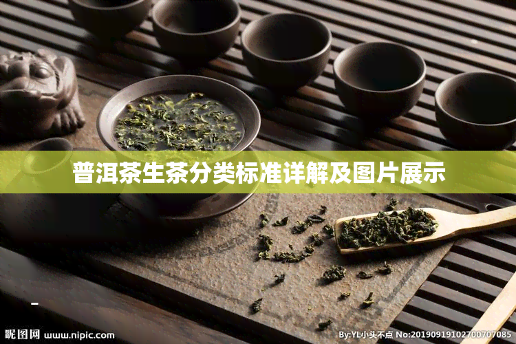 普洱茶生茶分类标准详解及图片展示