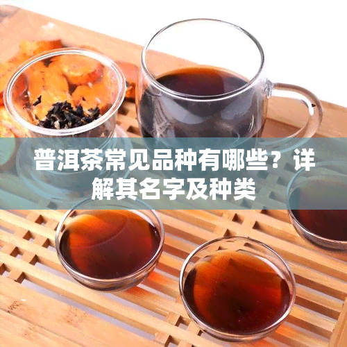 普洱茶常见品种有哪些？详解其名字及种类