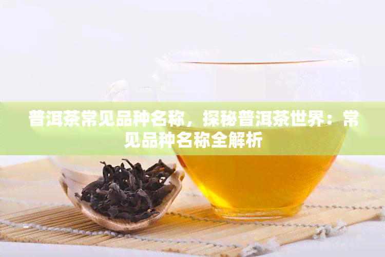 普洱茶常见品种名称，探秘普洱茶世界：常见品种名称全解析