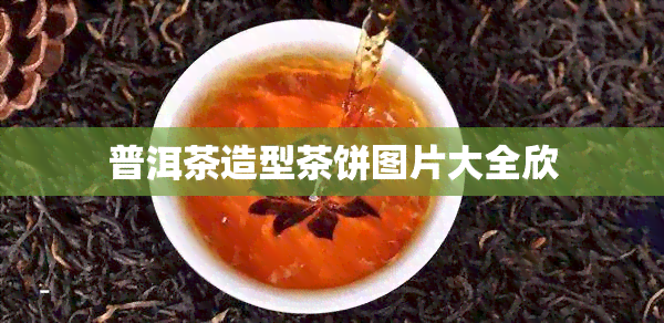 普洱茶造型茶饼图片大全欣