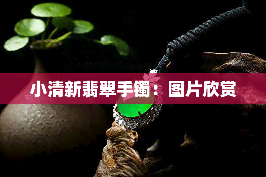 小清新翡翠手镯：图片欣赏