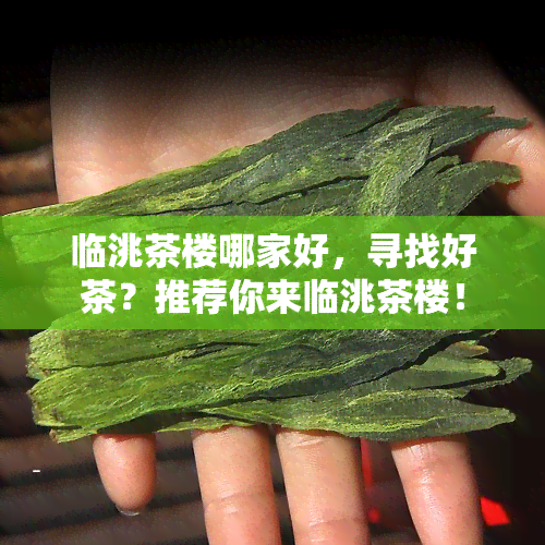 临洮茶楼哪家好，寻找好茶？推荐你来临洮茶楼！