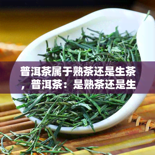 普洱茶属于熟茶还是生茶，普洱茶：是熟茶还是生茶？一次全面解析