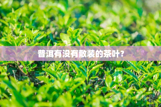 普洱有没有散装的茶叶？