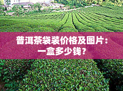 普洱茶袋装价格及图片：一盒多少钱？