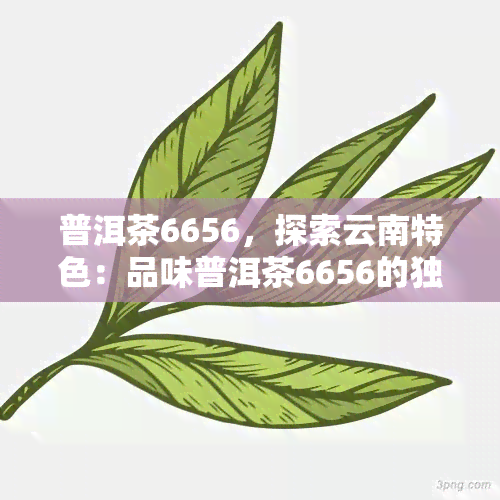 普洱茶6656，探索云南特色：品味普洱茶6656的独特魅力