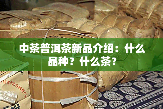 中茶普洱茶新品介绍：什么品种？什么茶？