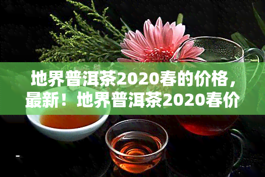 地界普洱茶2020春的价格，最新！地界普洱茶2020春价格全解析