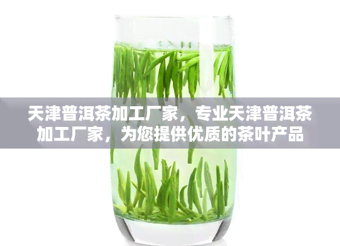 天津普洱茶加工厂家，专业天津普洱茶加工厂家，为您提供优质的茶叶产品