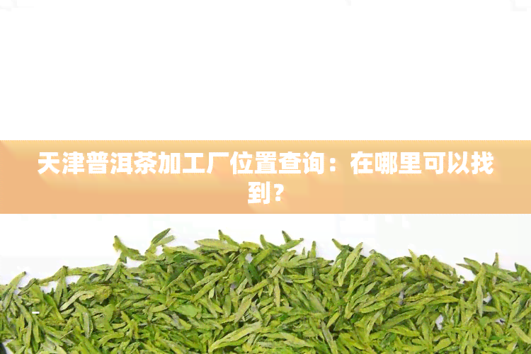 天津普洱茶加工厂位置查询：在哪里可以找到？