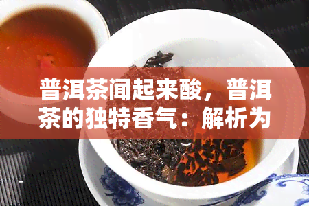 普洱茶闻起来酸，普洱茶的独特香气：解析为何闻起来有些酸味