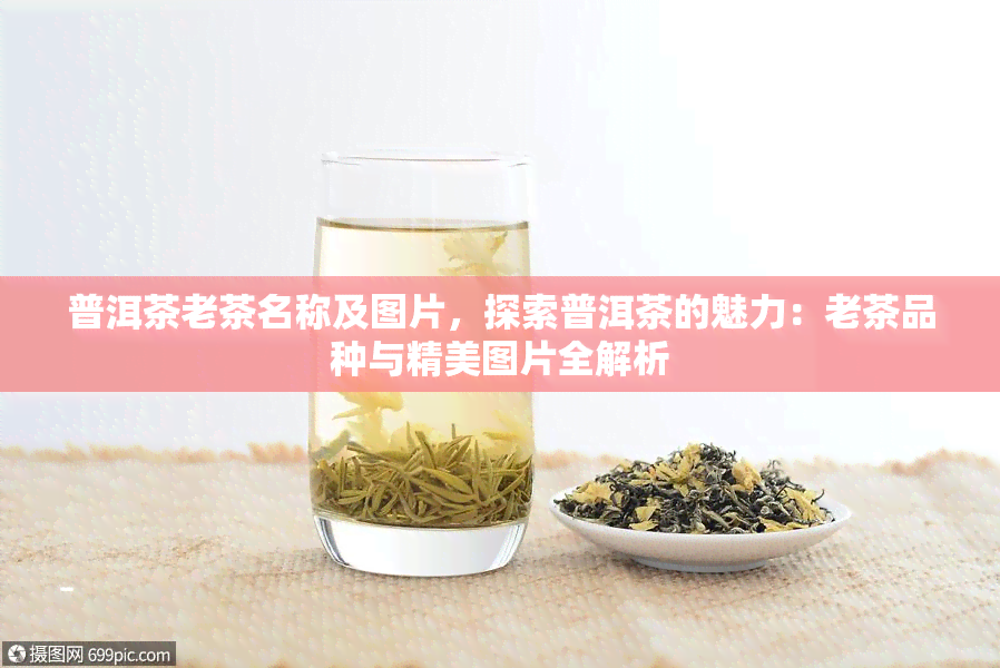 普洱茶老茶名称及图片，探索普洱茶的魅力：老茶品种与精美图片全解析