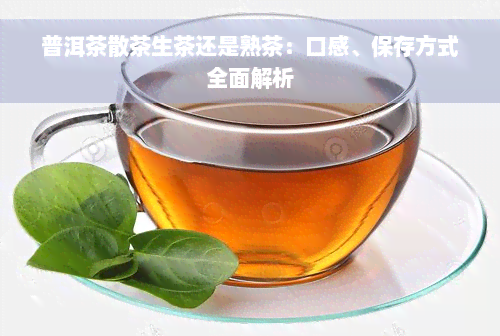 普洱茶散茶生茶还是熟茶：口感、保存方式全面解析