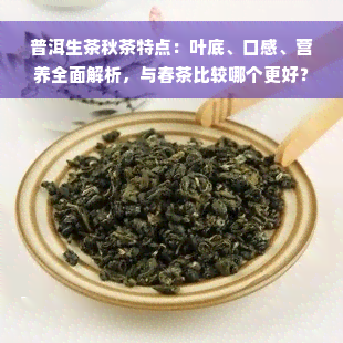 普洱生茶秋茶特点：叶底、口感、营养全面解析，与春茶比较哪个更好？