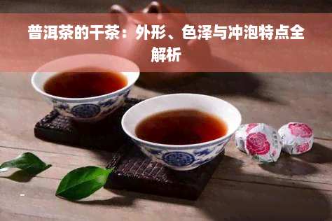 普洱茶的干茶：外形、色泽与冲泡特点全解析