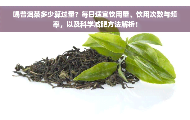 喝普洱茶多少算过量？每日适宜饮用量、饮用次数与频率，以及科学减肥方法解析！