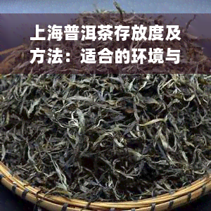 上海普洱茶存放度及方法：适合的环境与正确存方式