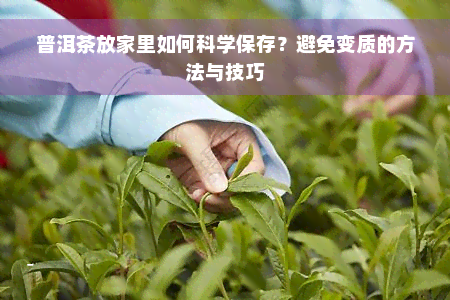 普洱茶放家里如何科学保存？避免变质的方法与技巧