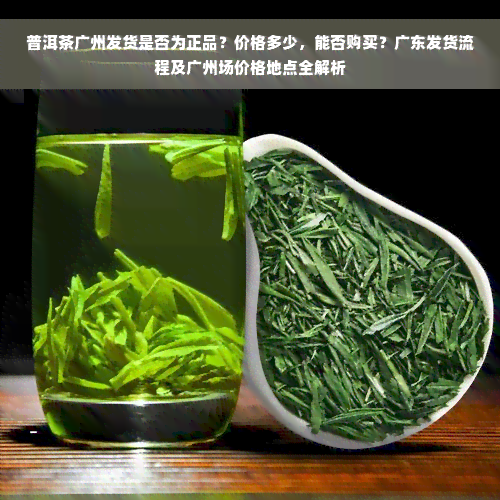 普洱茶广州发货是否为正品？价格多少，能否购买？广东发货流程及广州场价格地点全解析