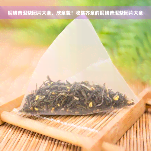 铜钱普洱茶图片大全，欣全貌！收集齐全的铜钱普洱茶图片大全