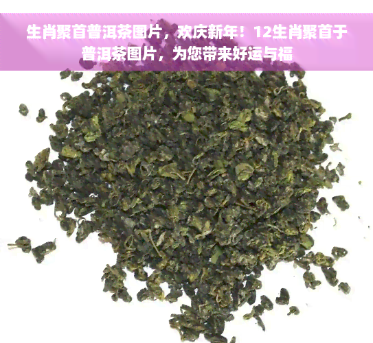 生肖聚首普洱茶图片，欢庆新年！12生肖聚首于普洱茶图片，为您带来好运与福