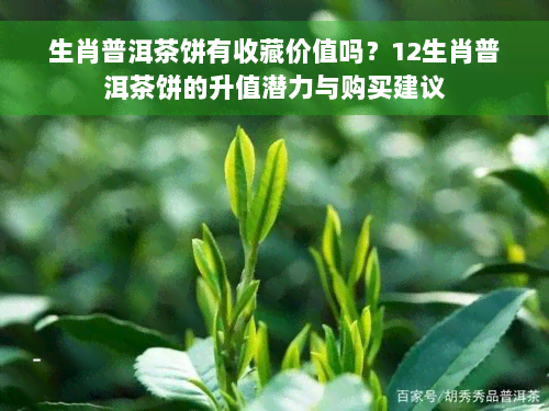 生肖普洱茶饼有收藏价值吗？12生肖普洱茶饼的升值潜力与购买建议