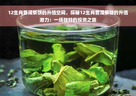 12生肖普洱茶饼的升值空间，探秘12生肖普洱茶饼的升值潜力：一场独特的投资之旅