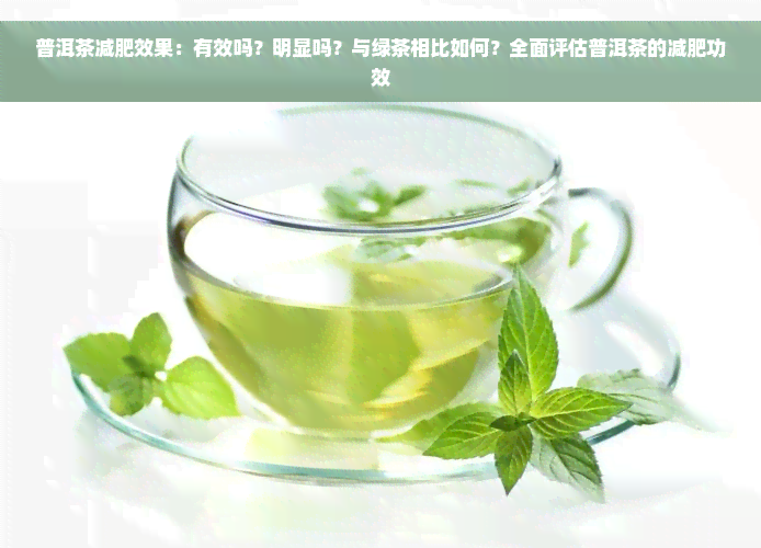 普洱茶减肥效果：有效吗？明显吗？与绿茶相比如何？全面评估普洱茶的减肥功效