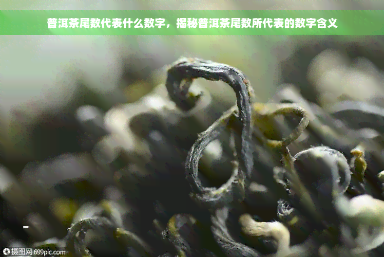 普洱茶尾数代表什么数字，揭秘普洱茶尾数所代表的数字含义