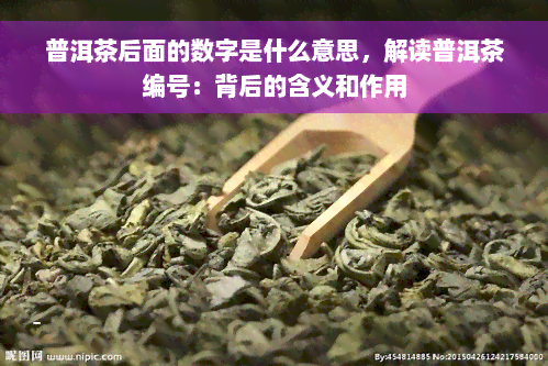 普洱茶后面的数字是什么意思，解读普洱茶编号：背后的含义和作用