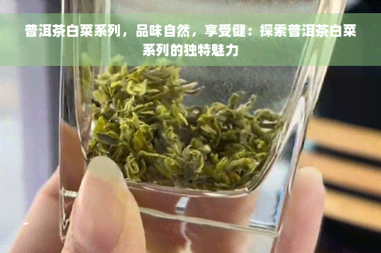 普洱茶白菜系列，品味自然，享受健：探索普洱茶白菜系列的独特魅力